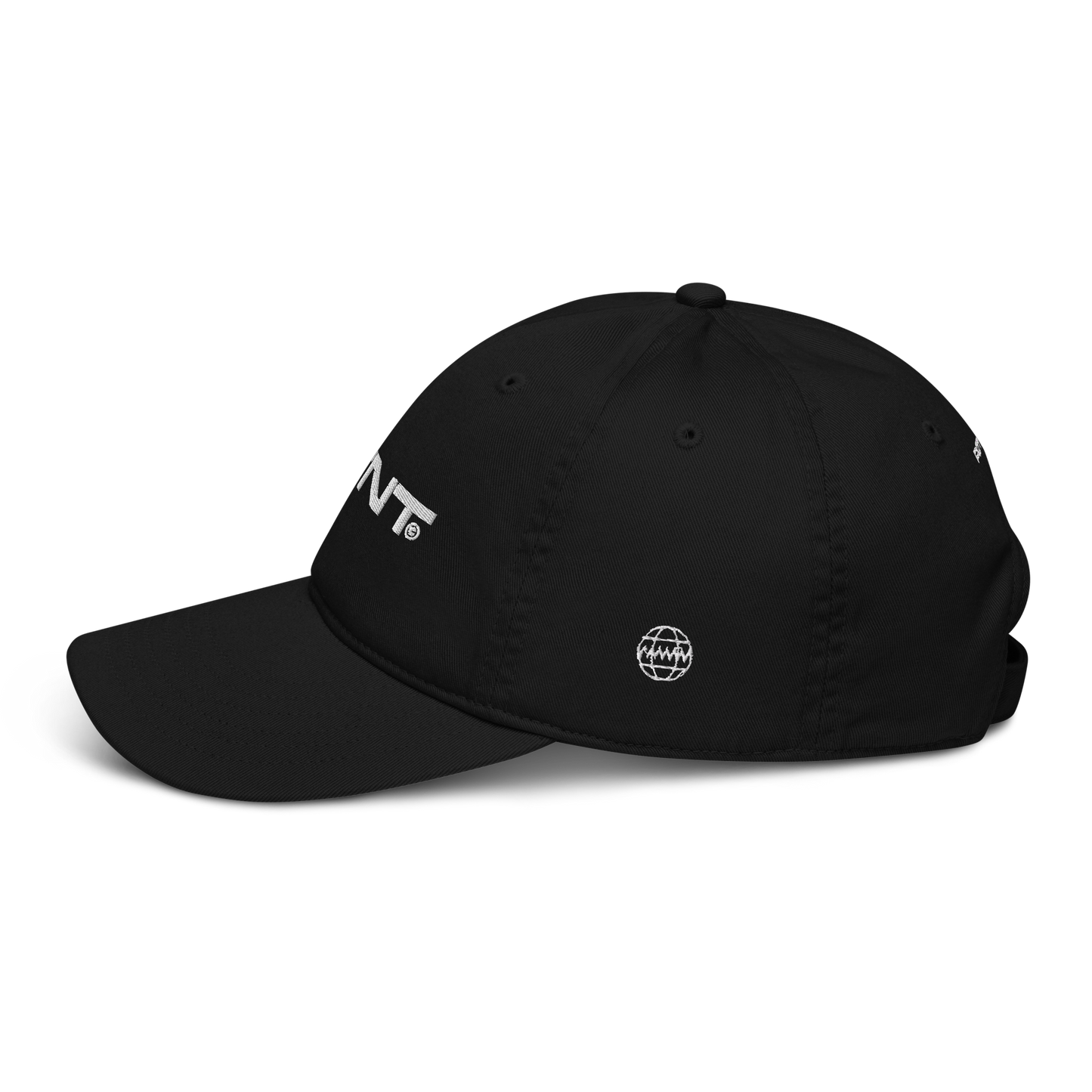 PTNT Supply Organic dad hat 001