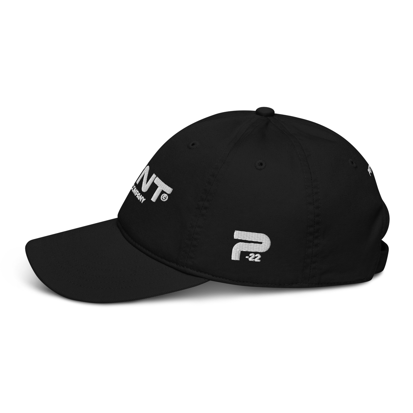 PTNT Supply Organic dad hat 005