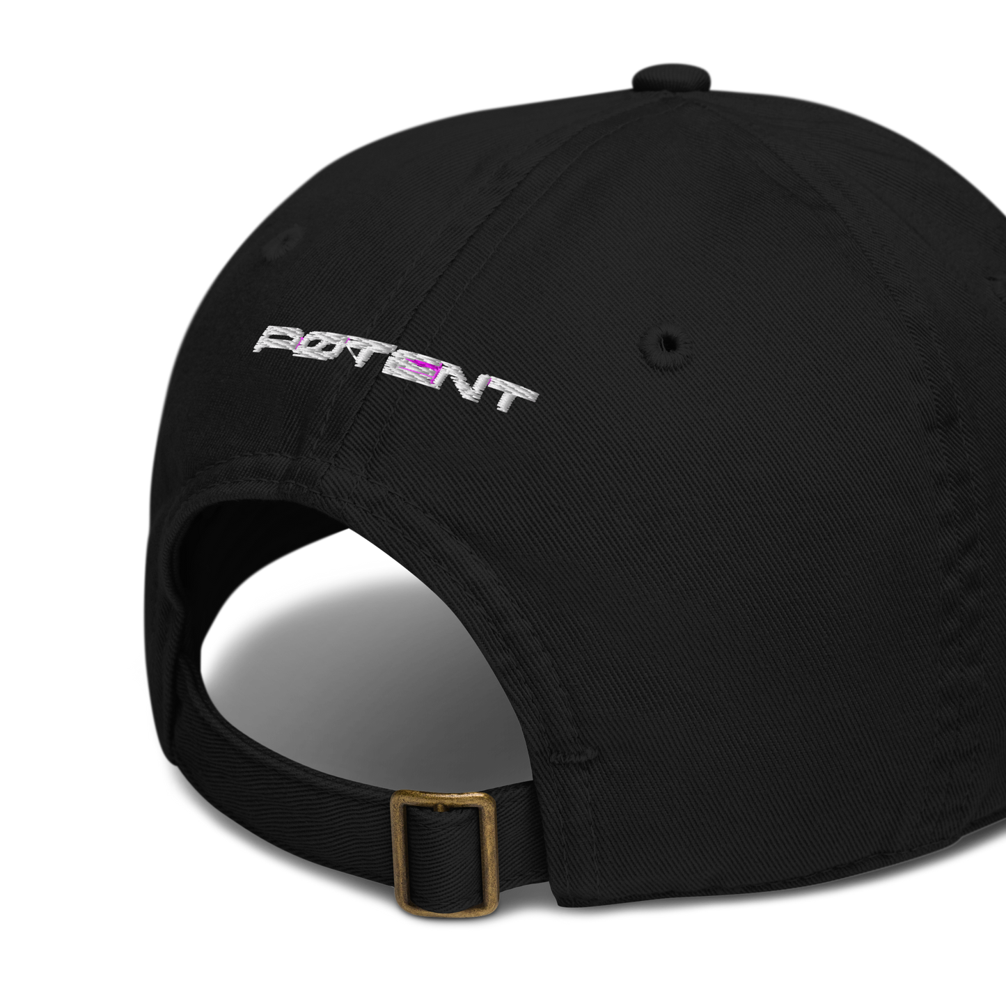 PTNT Supply Organic dad hat 001