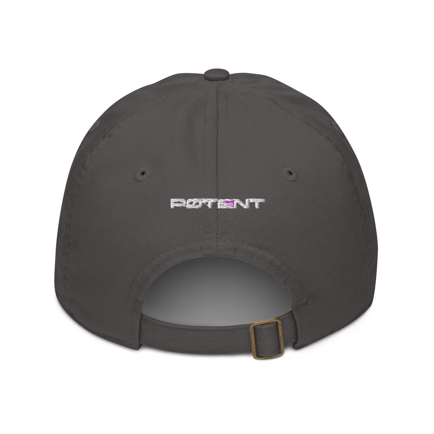 PTNT Supply Organic dad hat 001