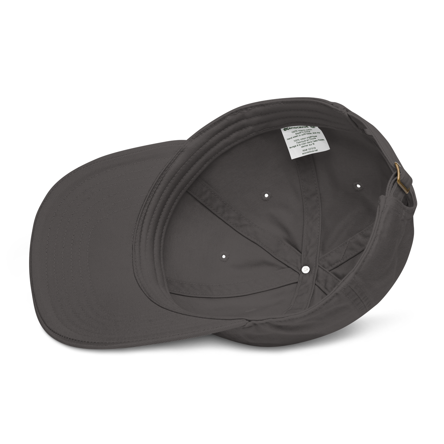 PTNT Supply Organic dad hat 001