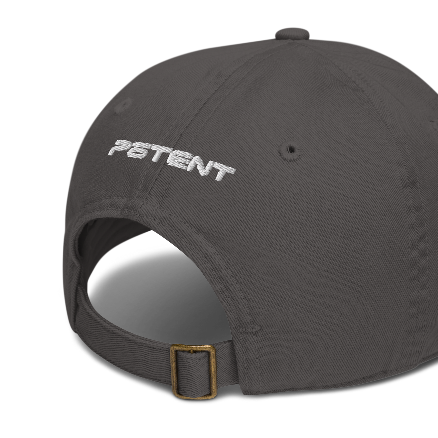 PTNT Supply Organic dad hat 005