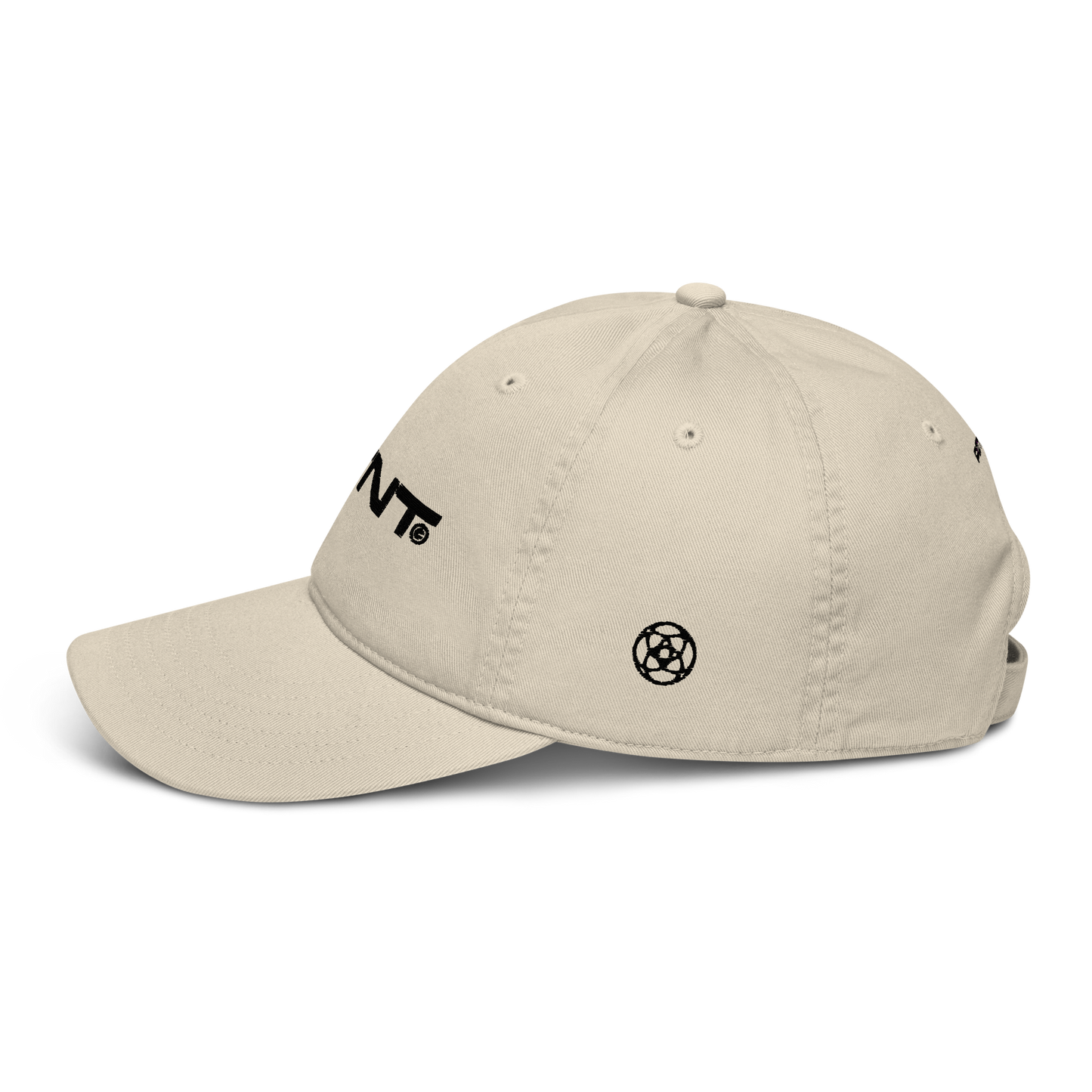 PTNT Supply Organic dad hat 002